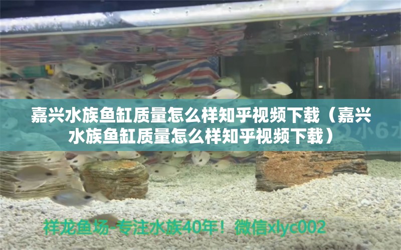 嘉興水族魚缸質(zhì)量怎么樣知乎視頻下載（嘉興水族魚缸質(zhì)量怎么樣知乎視頻下載）