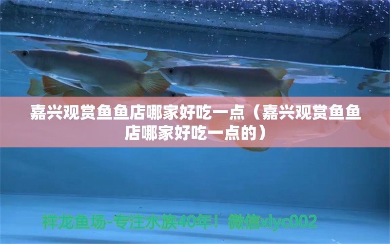 嘉興觀賞魚魚店哪家好吃一點(diǎn)（嘉興觀賞魚魚店哪家好吃一點(diǎn)的）