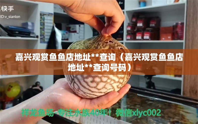 嘉興觀賞魚魚店地址**查詢（嘉興觀賞魚魚店地址**查詢號碼） 祥龍水族醫(yī)院