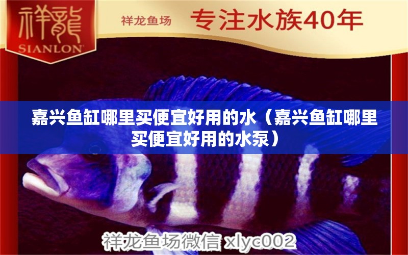 嘉興魚缸哪里買便宜好用的水（嘉興魚缸哪里買便宜好用的水泵）