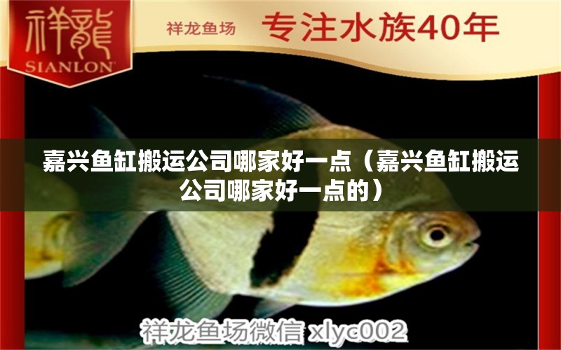 嘉興魚(yú)缸搬運(yùn)公司哪家好一點(diǎn)（嘉興魚(yú)缸搬運(yùn)公司哪家好一點(diǎn)的）