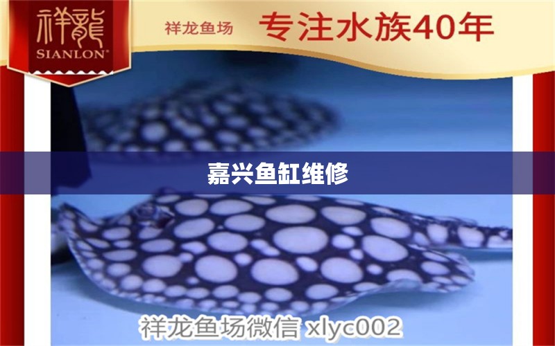 嘉興魚缸維修 其他品牌魚缸