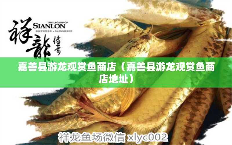 嘉善縣游龍觀賞魚商店（嘉善縣游龍觀賞魚商店地址） 全國水族館企業(yè)名錄