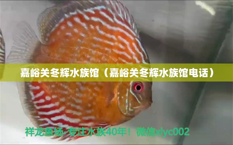 嘉峪關(guān)冬輝水族館（嘉峪關(guān)冬輝水族館電話）