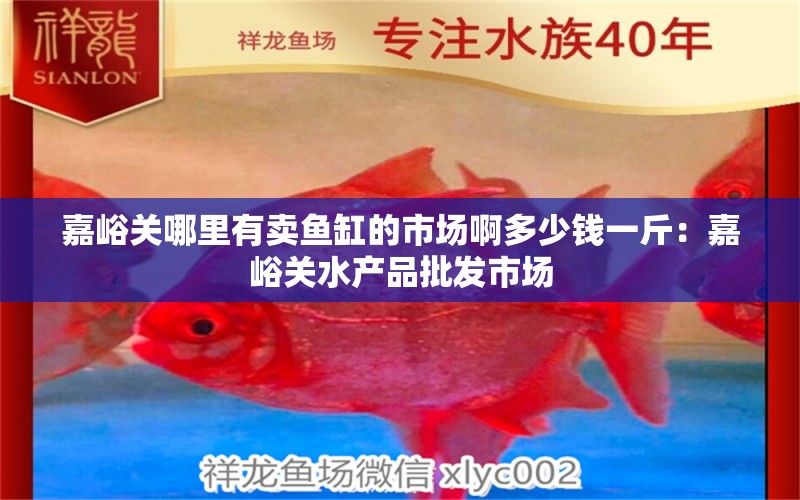 嘉峪關哪里有賣魚缸的市場啊多少錢一斤：嘉峪關水產品批發(fā)市場