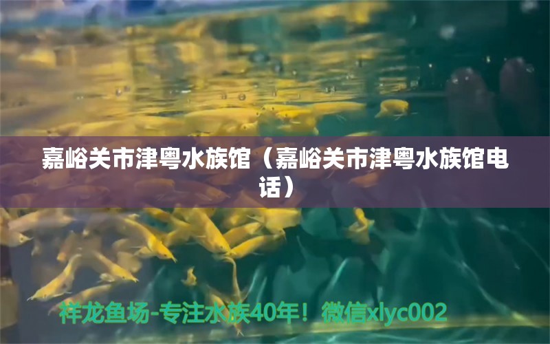 嘉峪關(guān)市津粵水族館（嘉峪關(guān)市津粵水族館電話）