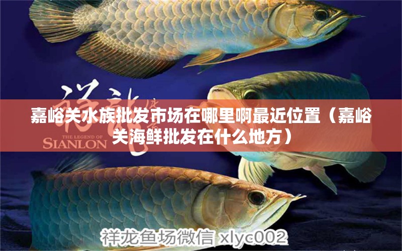 嘉峪關(guān)水族批發(fā)市場在哪里啊最近位置（嘉峪關(guān)海鮮批發(fā)在什么地方）