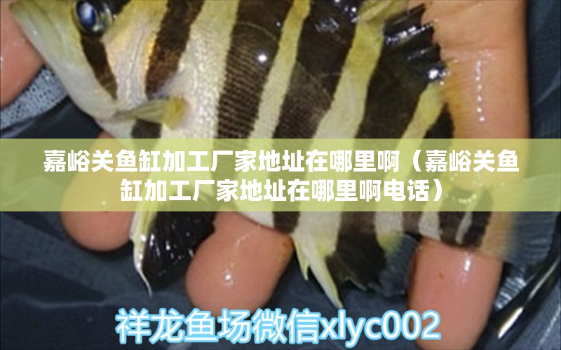 嘉峪關(guān)魚缸加工廠家地址在哪里?。斡P(guān)魚缸加工廠家地址在哪里啊電話）