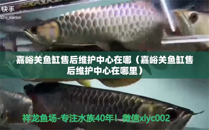 嘉峪關(guān)魚缸售后維護(hù)中心在哪（嘉峪關(guān)魚缸售后維護(hù)中心在哪里） 其他品牌魚缸