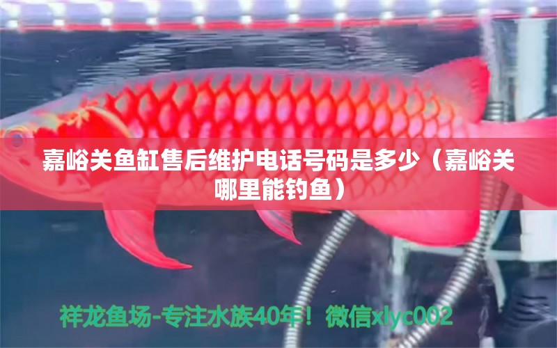 嘉峪關(guān)魚缸售后維護(hù)電話號碼是多少（嘉峪關(guān)哪里能釣魚）