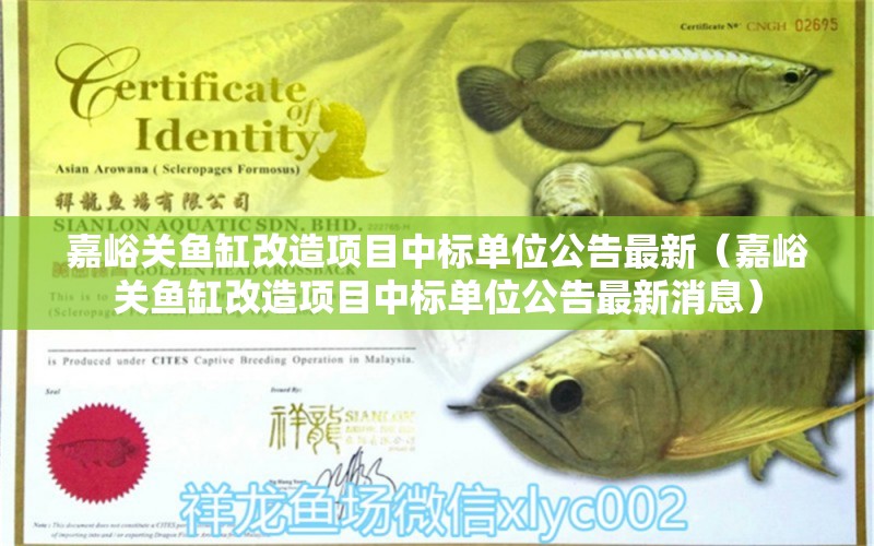 嘉峪關(guān)魚缸改造項目中標(biāo)單位公告最新（嘉峪關(guān)魚缸改造項目中標(biāo)單位公告最新消息）