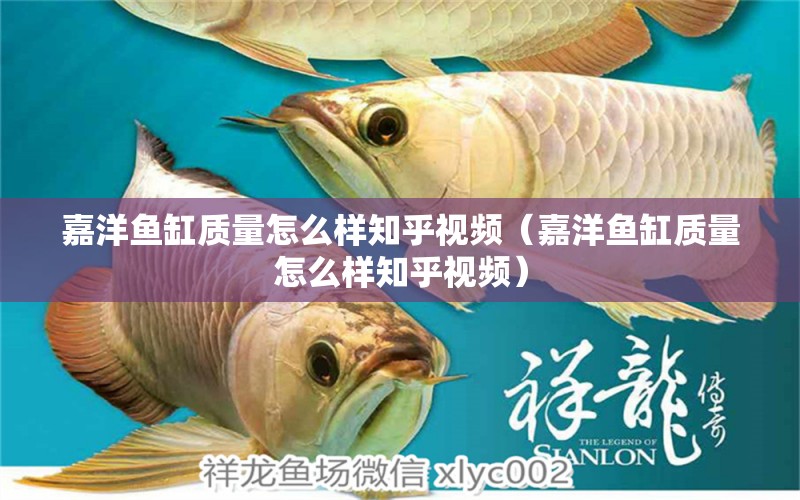 嘉洋魚缸質(zhì)量怎么樣知乎視頻（嘉洋魚缸質(zhì)量怎么樣知乎視頻） 觀賞魚市場（混養(yǎng)魚）