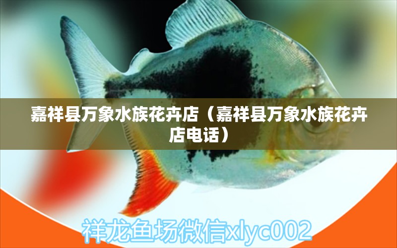 嘉祥縣萬(wàn)象水族花卉店（嘉祥縣萬(wàn)象水族花卉店電話） 全國(guó)水族館企業(yè)名錄