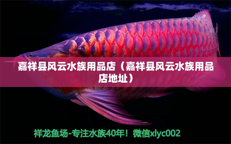 嘉祥縣風(fēng)云水族用品店（嘉祥縣風(fēng)云水族用品店地址） 水族用品