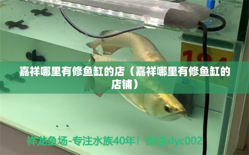 嘉祥哪里有修魚缸的店（嘉祥哪里有修魚缸的店鋪）