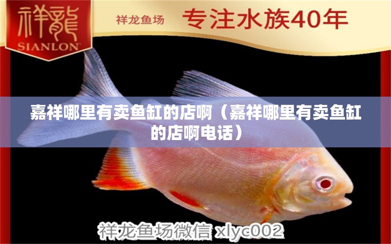 嘉祥哪里有賣魚缸的店?。蜗槟睦镉匈u魚缸的店啊電話）