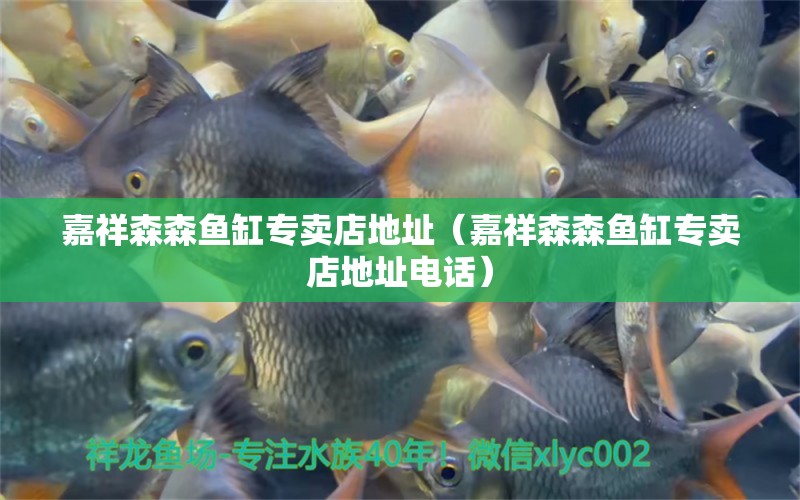 嘉祥森森魚缸專賣店地址（嘉祥森森魚缸專賣店地址電話） 祥龍水族醫(yī)院