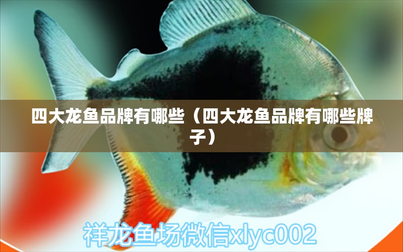 四大龍魚(yú)品牌有哪些（四大龍魚(yú)品牌有哪些牌子）