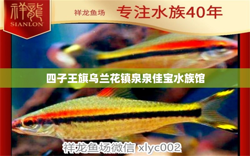 四子王旗烏蘭花鎮(zhèn)泉泉佳寶水族館