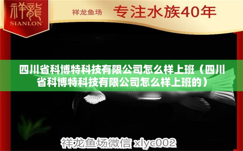 四川省科博特科技有限公司怎么樣上班（四川省科博特科技有限公司怎么樣上班的）