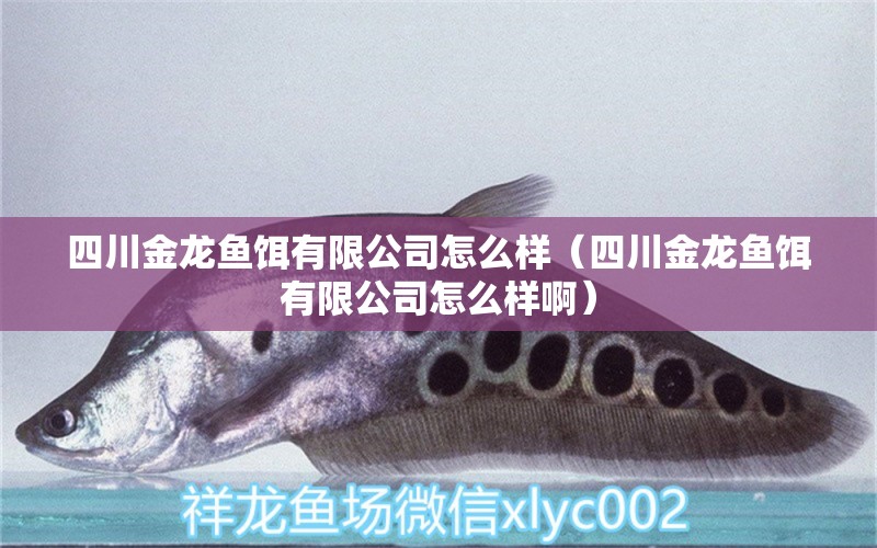 四川金龍魚餌有限公司怎么樣（四川金龍魚餌有限公司怎么樣?。? title=