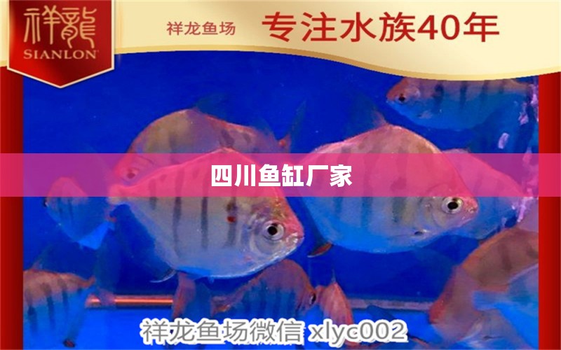 四川魚缸廠家 其他品牌魚缸