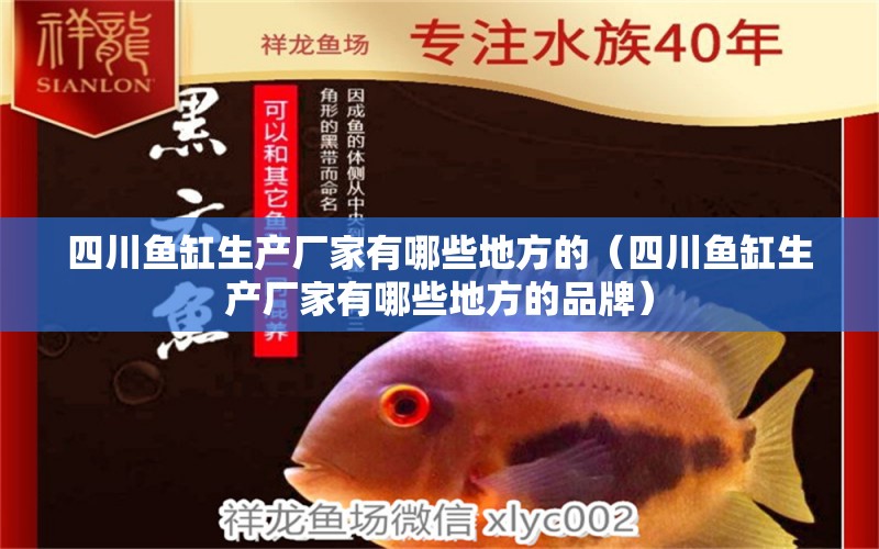 四川魚缸生產(chǎn)廠家有哪些地方的（四川魚缸生產(chǎn)廠家有哪些地方的品牌） 祥龍水族醫(yī)院