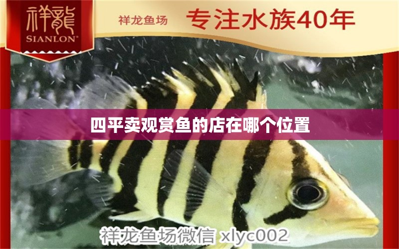 四平賣觀賞魚的店在哪個位置 祥龍魚場