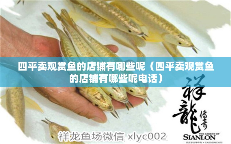 四平賣(mài)觀賞魚(yú)的店鋪有哪些呢（四平賣(mài)觀賞魚(yú)的店鋪有哪些呢電話） 祥龍水族醫(yī)院