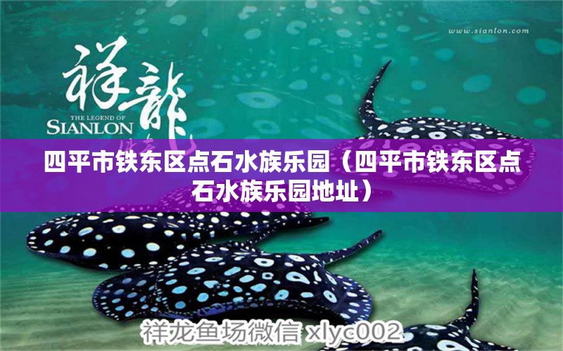 四平市鐵東區(qū)點石水族樂園（四平市鐵東區(qū)點石水族樂園地址） 全國水族館企業(yè)名錄