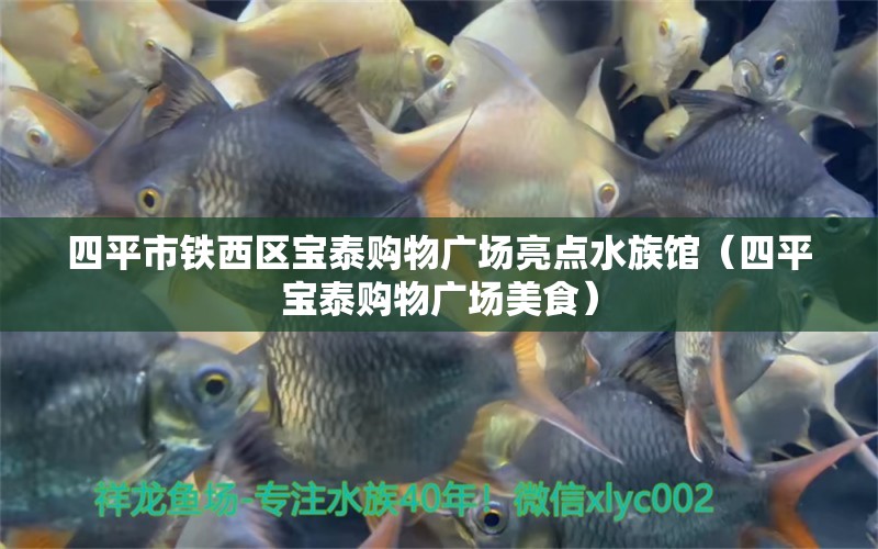 四平市鐵西區(qū)寶泰購物廣場亮點水族館（四平寶泰購物廣場美食） 全國水族館企業(yè)名錄