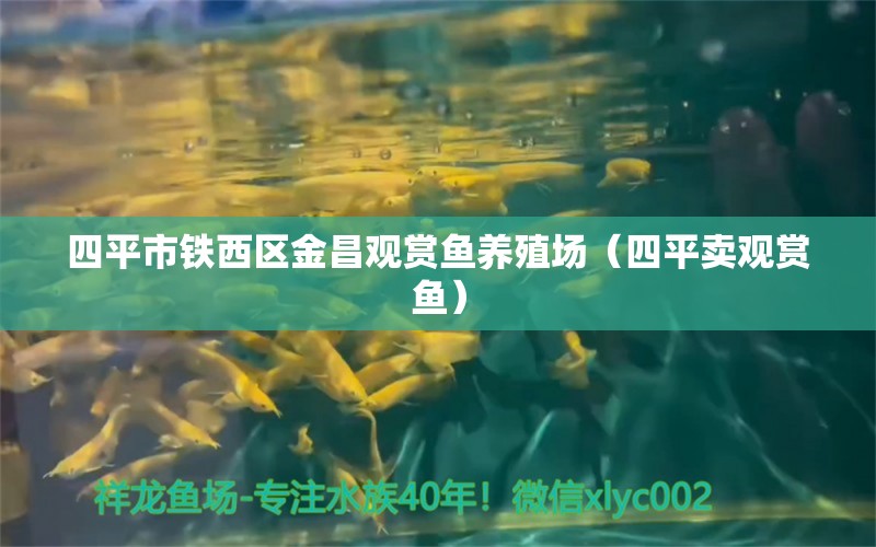 四平市鐵西區(qū)金昌觀賞魚養(yǎng)殖場（四平賣觀賞魚） 全國水族館企業(yè)名錄