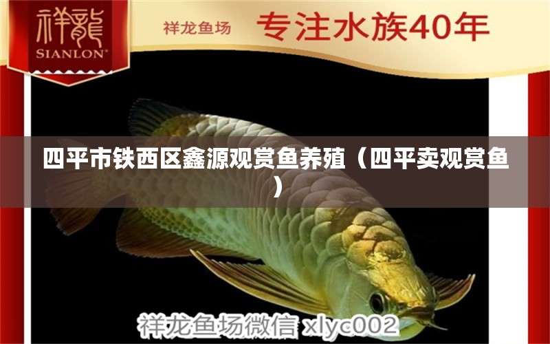 四平市鐵西區(qū)鑫源觀賞魚養(yǎng)殖（四平賣觀賞魚）