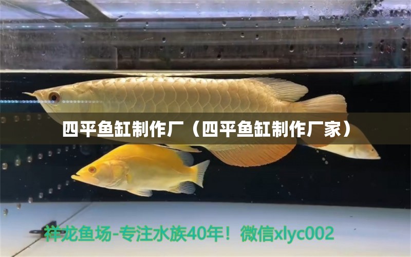 四平魚缸制作廠（四平魚缸制作廠家） 其他品牌魚缸