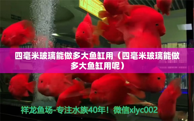 四毫米玻璃能做多大魚缸用（四毫米玻璃能做多大魚缸用呢） 祥龍水族醫(yī)院