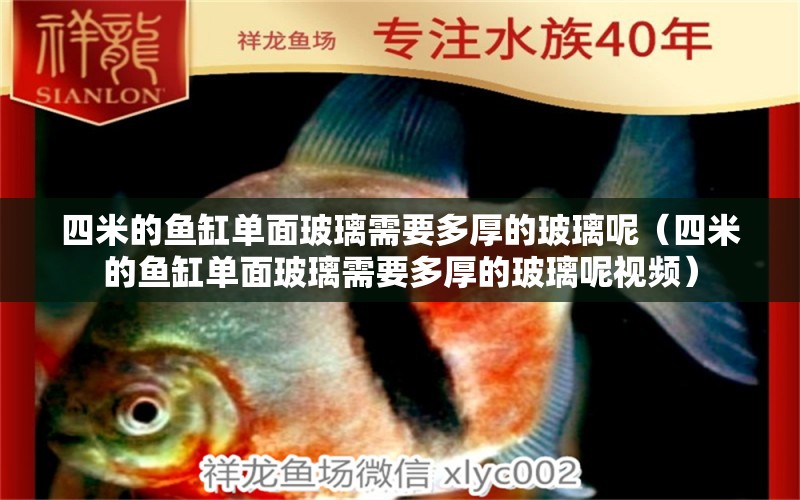 四米的魚缸單面玻璃需要多厚的玻璃呢（四米的魚缸單面玻璃需要多厚的玻璃呢視頻）