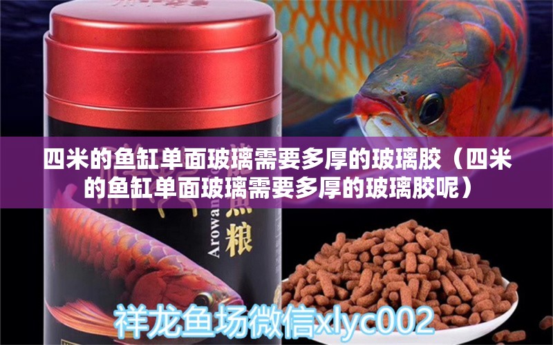 四米的魚缸單面玻璃需要多厚的玻璃膠（四米的魚缸單面玻璃需要多厚的玻璃膠呢）