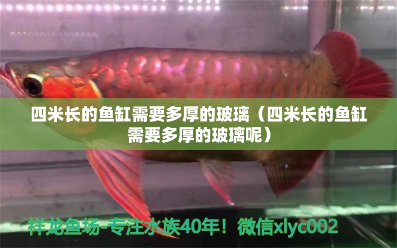 四米長(zhǎng)的魚缸需要多厚的玻璃（四米長(zhǎng)的魚缸需要多厚的玻璃呢） 魚缸百科