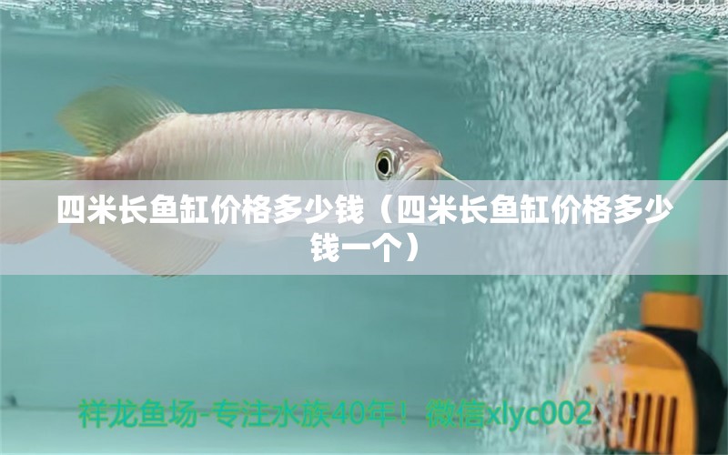 四米長魚缸價(jià)格多少錢（四米長魚缸價(jià)格多少錢一個(gè)）