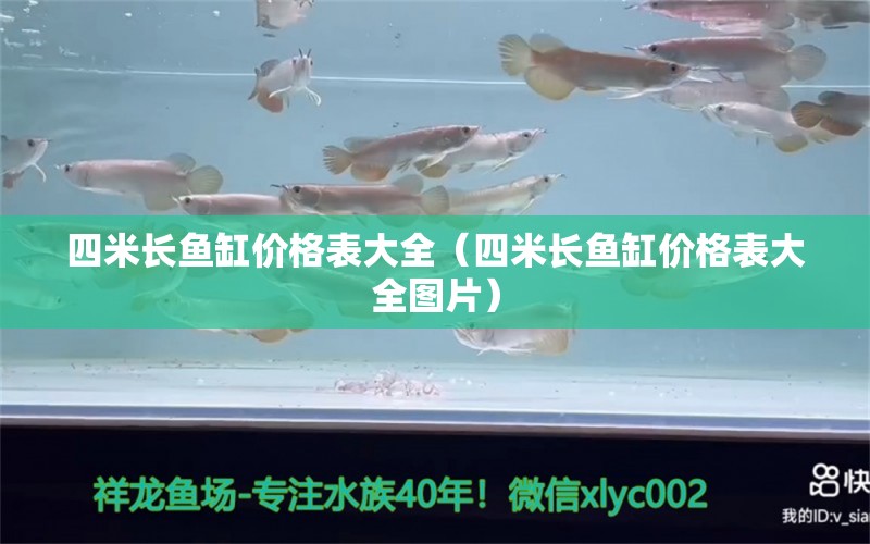 四米長魚缸價格表大全（四米長魚缸價格表大全圖片） 其他品牌魚缸