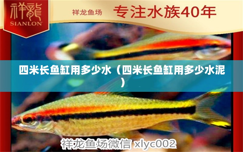 四米長魚缸用多少水（四米長魚缸用多少水泥） 魚缸百科