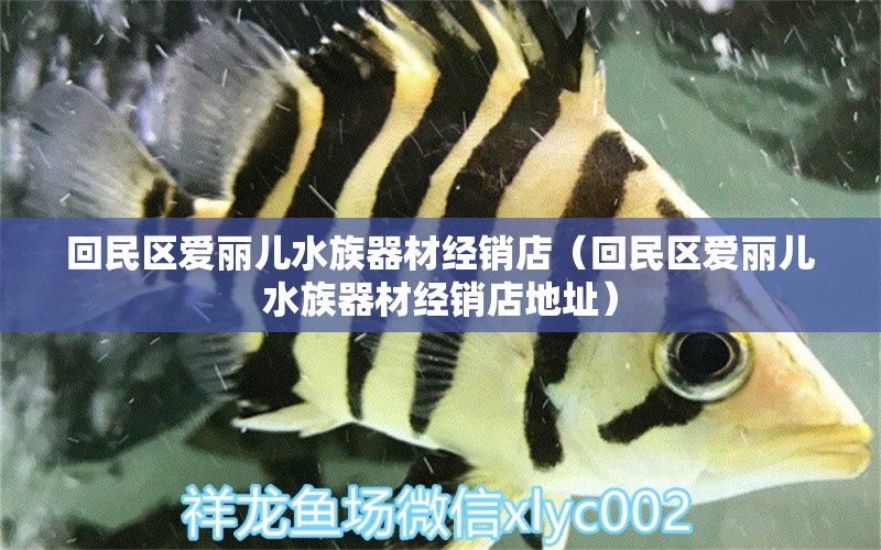 回民區(qū)愛麗兒水族器材經(jīng)銷店（回民區(qū)愛麗兒水族器材經(jīng)銷店地址） 全國水族館企業(yè)名錄