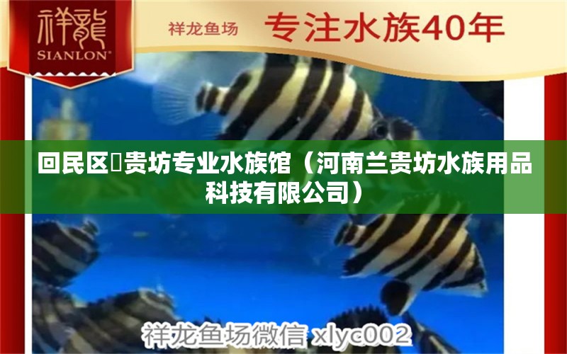 回民區(qū)蘭貴坊專業(yè)水族館（河南蘭貴坊水族用品科技有限公司） 水族用品