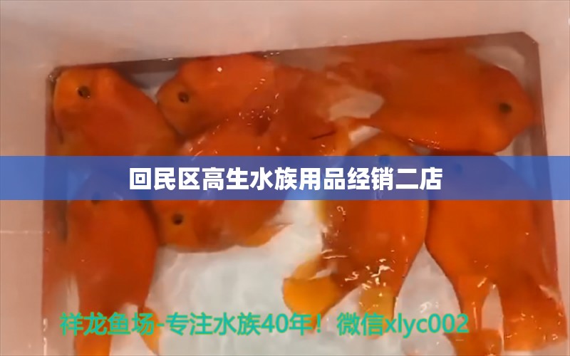 回民區(qū)高生水族用品經(jīng)銷二店 水族用品