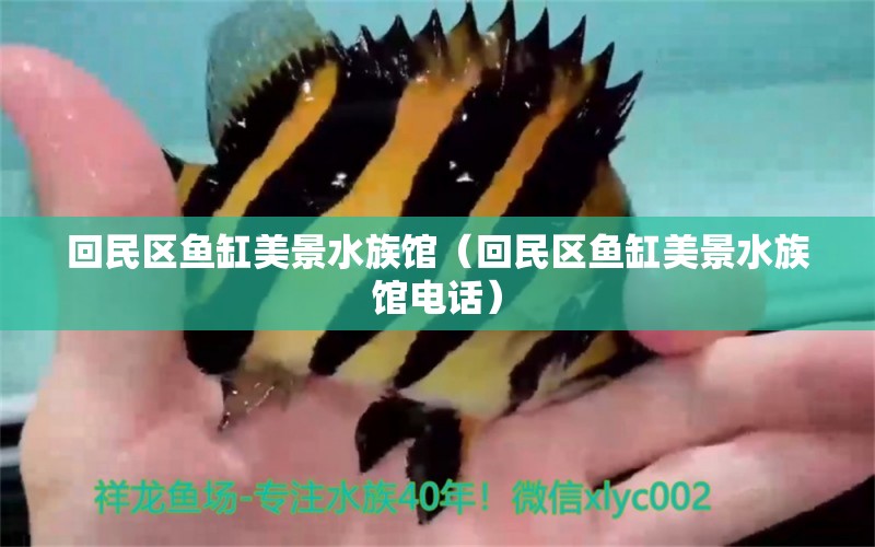 回民區(qū)魚缸美景水族館（回民區(qū)魚缸美景水族館電話）