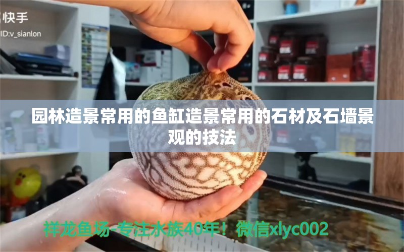 園林造景常用的魚缸造景常用的石材及石墻景觀的技法 養(yǎng)魚知識