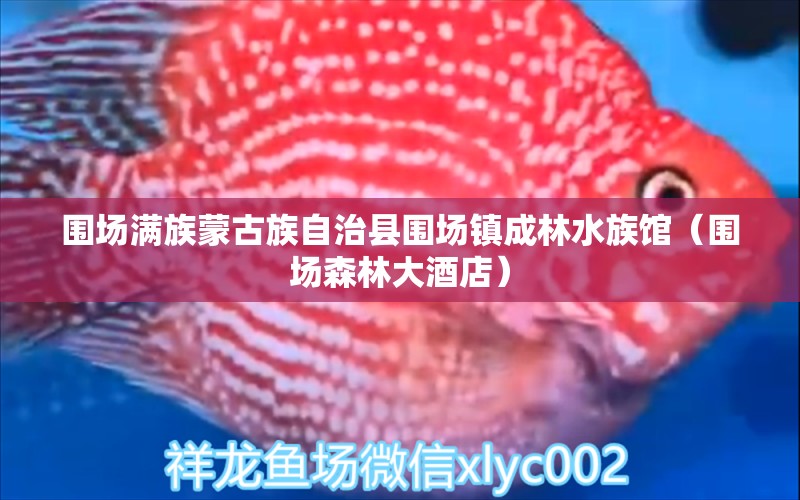 圍場滿族蒙古族自治縣圍場鎮(zhèn)成林水族館（圍場森林大酒店）