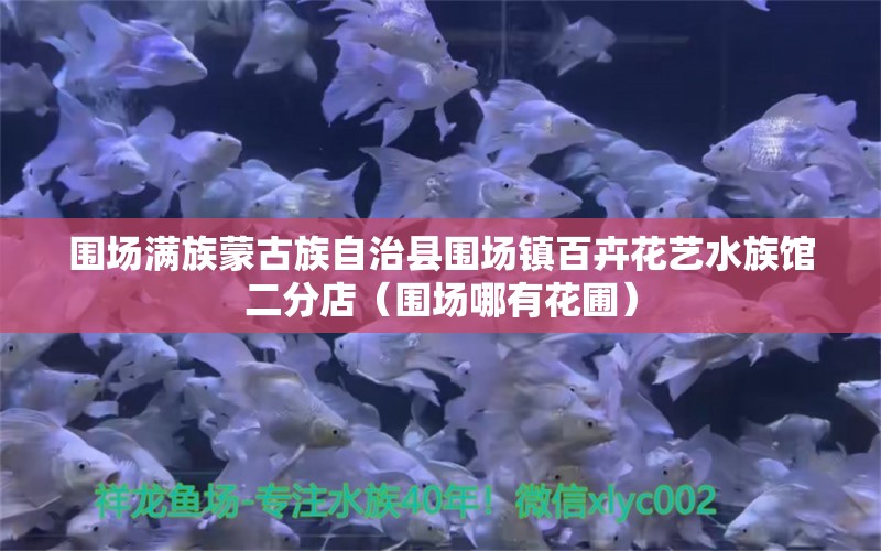 圍場滿族蒙古族自治縣圍場鎮(zhèn)百卉花藝水族館二分店（圍場哪有花圃）