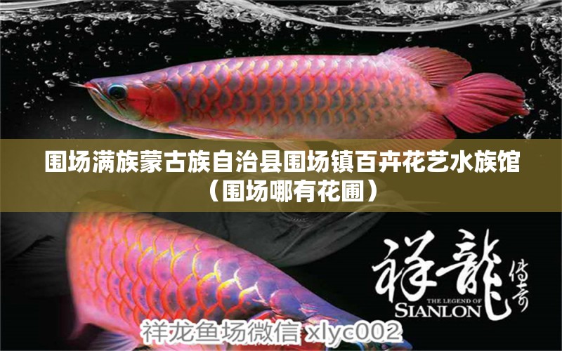 圍場滿族蒙古族自治縣圍場鎮(zhèn)百卉花藝水族館（圍場哪有花圃）