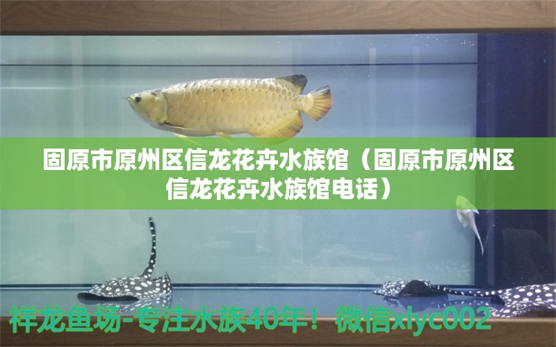 固原市原州區(qū)信龍花卉水族館（固原市原州區(qū)信龍花卉水族館電話） 全國水族館企業(yè)名錄